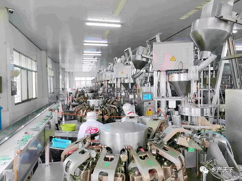 紅太陽(yáng)精品 東“菜”西“薯”，爭(zhēng)做保障供給排頭兵